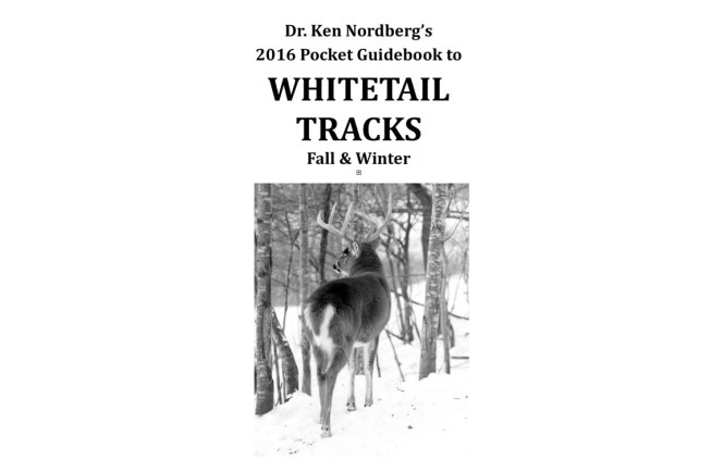 Track Guide Cover_01c