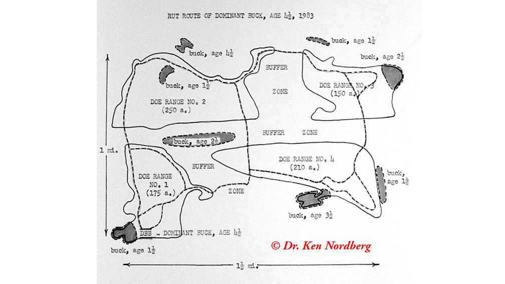 Why Scout? (One of Doc’s articles from 1988) – Dr Nordberg on Deer Hunting