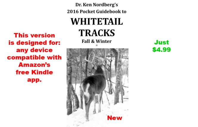 Track Guide Cover_twitter_Kindle